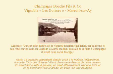 Vignoble"Les Goisses"