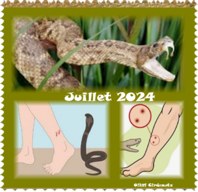 2024-07-21_19h05_32.png