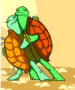 tortue.03.png